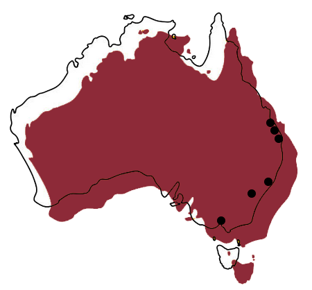 Six locations of mature singles events in Australia